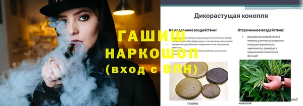 эйфоретик Михайловск