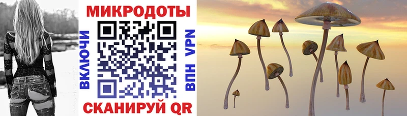 Галлюциногенные грибы GOLDEN TEACHER  Новое Девяткино 